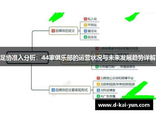 足协准入分析：44家俱乐部的运营状况与未来发展趋势详解