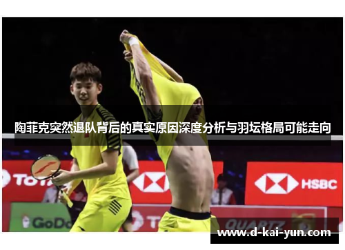 陶菲克突然退队背后的真实原因深度分析与羽坛格局可能走向