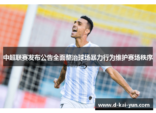中超联赛发布公告全面整治球场暴力行为维护赛场秩序 中超联赛发布公告全面整治球场暴力行为维护赛场秩序