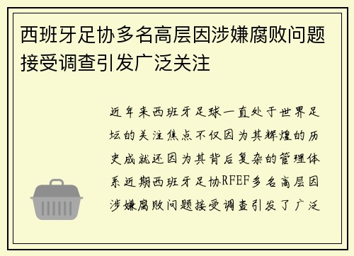 西班牙足协多名高层因涉嫌腐败问题接受调查引发广泛关注